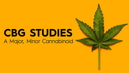 CBG Studies – A Major, Minor Cannabinoid?