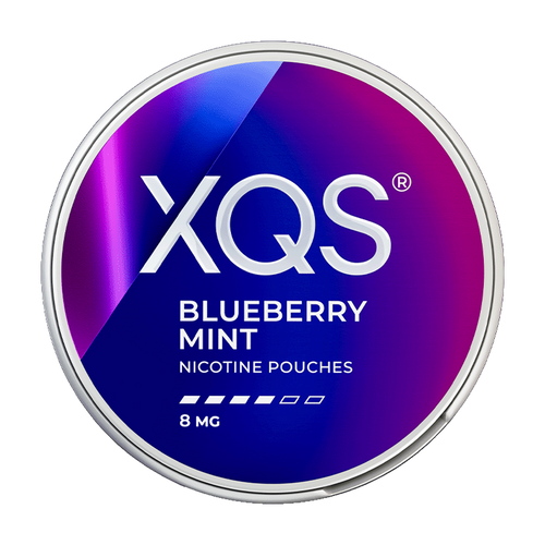 xqs nic pouches blueberry mint 8mg